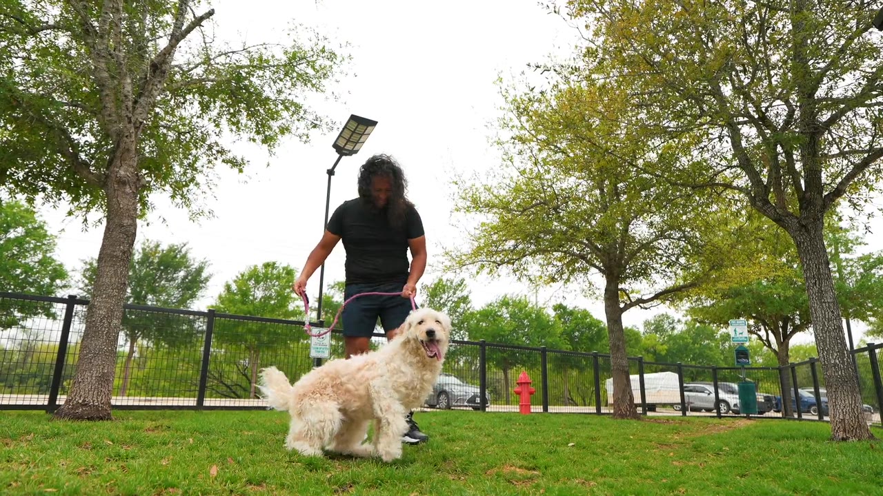 Person walking a white dog at Axis at Marketplace