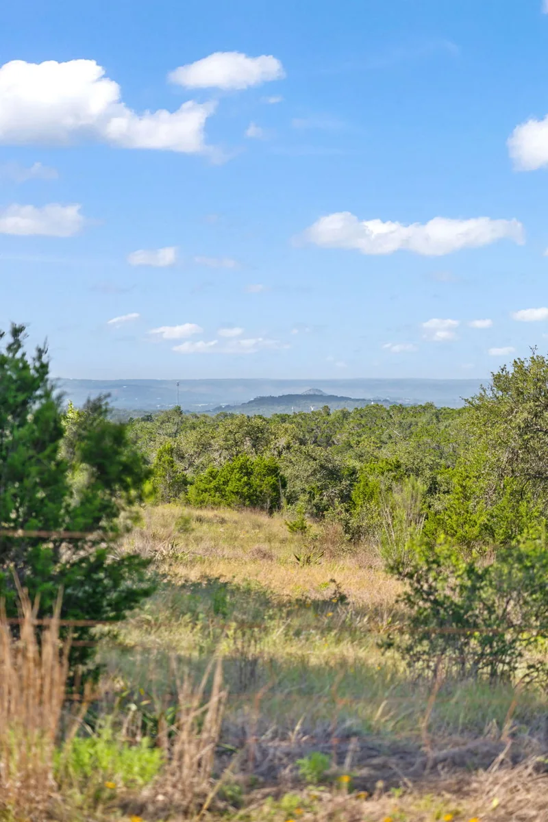 Hill Country trees and grasses with a long view across the landscape