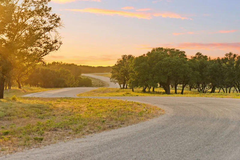 Winding ranch road at sunset surrounded by trees and golden grass