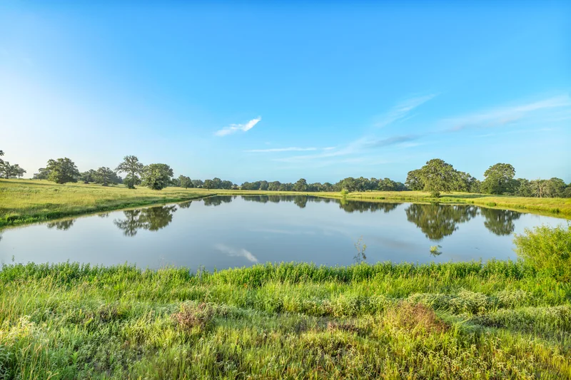 Ranch pond reflecting the sky beside grassy banks and mature trees