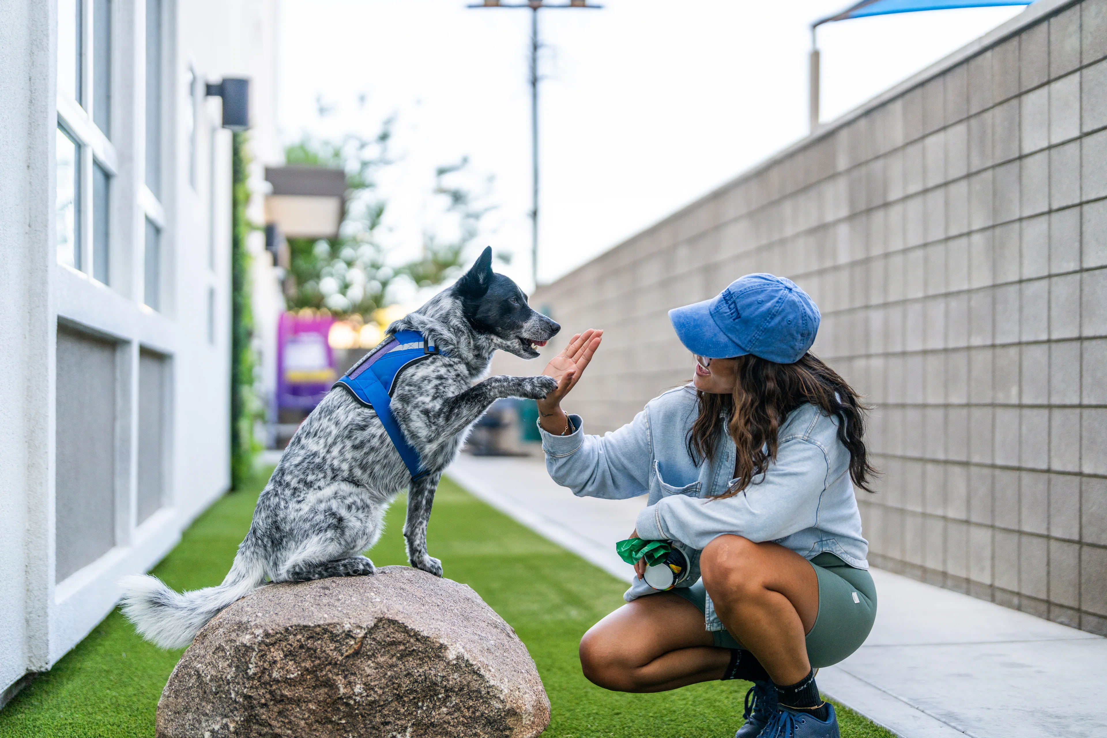 Woman sharing a playful moment with a dog