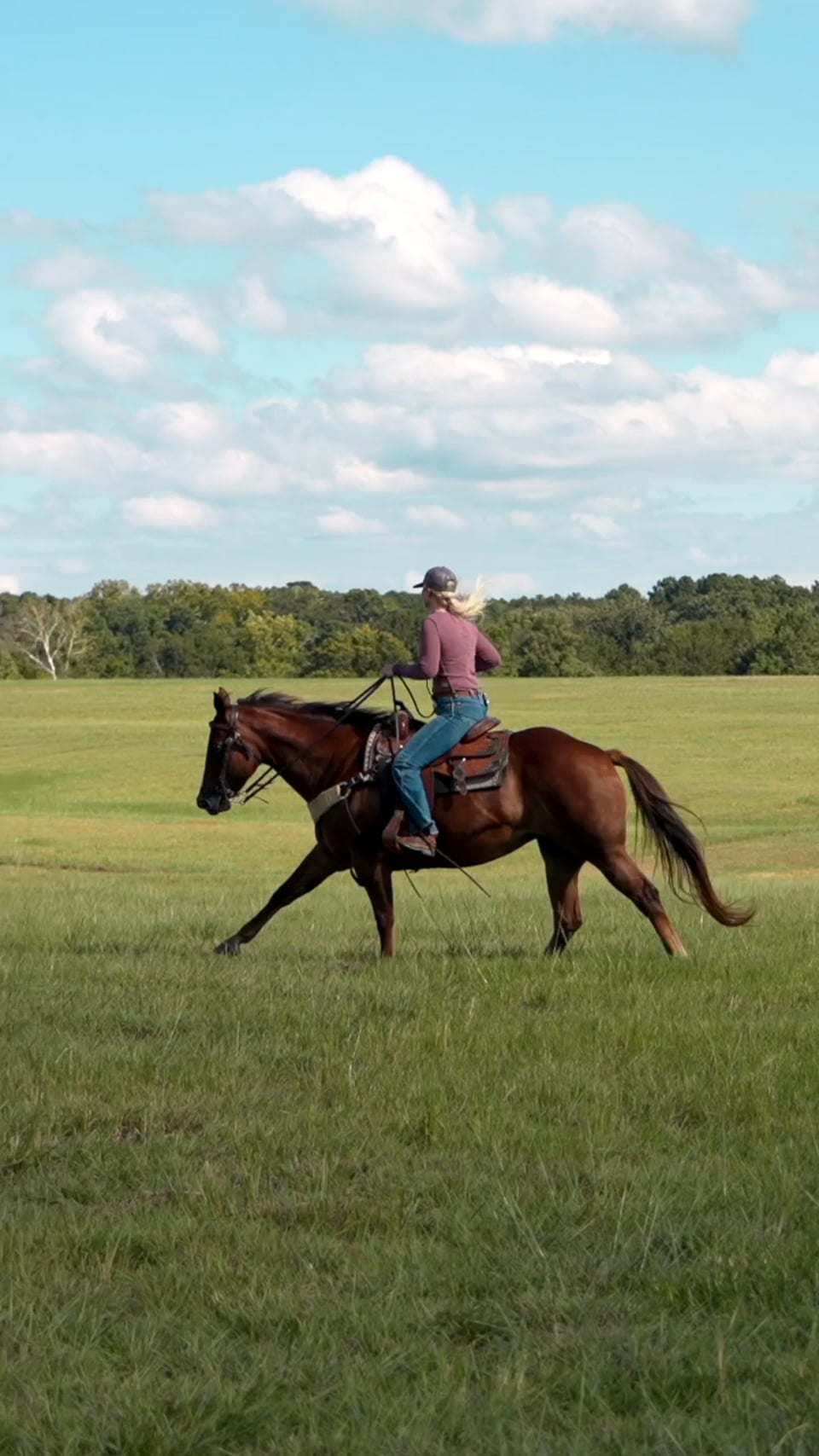 A rider and horse crossing an open ranch pasture