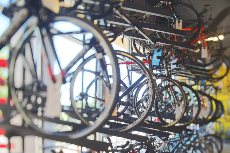 Bicycle World South Lamar – Austin, TX — photograph 5