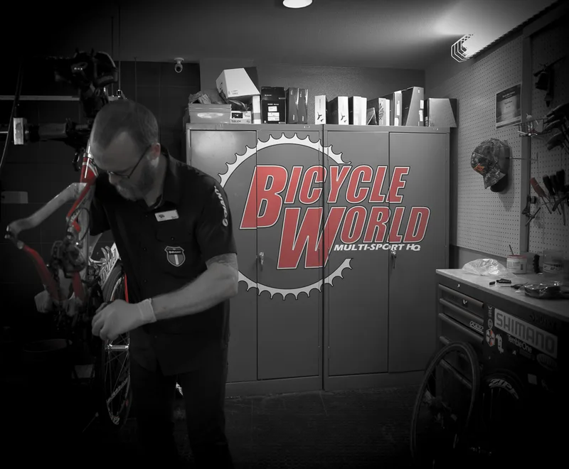 Bicycle World South Lamar – Austin, TX — photograph 7