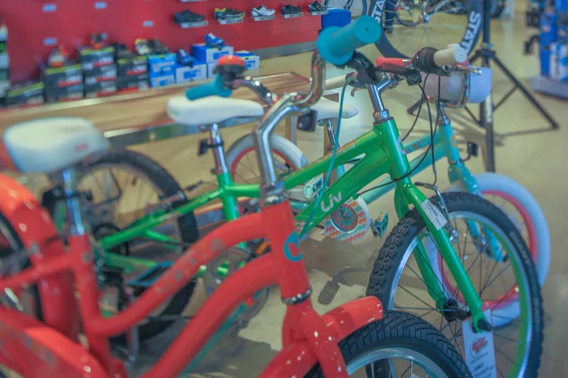 Bicycle World South Lamar – Austin, TX — photograph 3