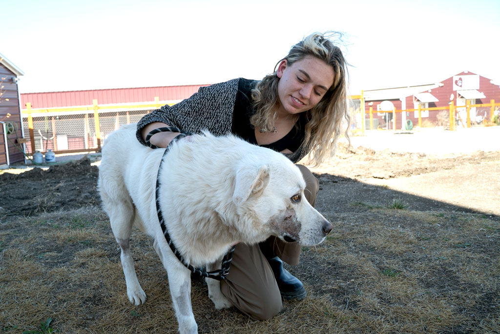 Messiah and Paighton Corley at Living Grace Canine Ranch