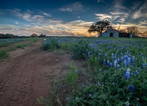 Texas Ranch and Land Photography - Austin 360 Photography
