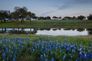 Texas Ranch Photography - Austin 360 Photography